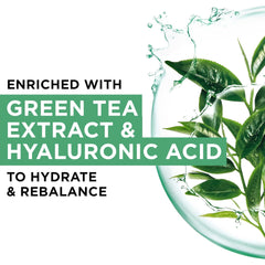 Garnier Moisture Bomb Green Tea Hydrating Sheet Mask