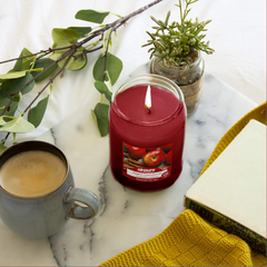 Airpure - Large Scented Candle, Apple Cinnamon Fragrance