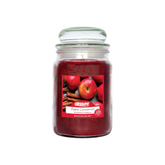 Airpure - Large Scented Candle, Apple Cinnamon Fragrance