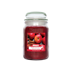 Airpure - Large Scented Candle, Apple Cinnamon Fragrance