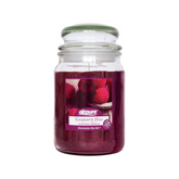 Airpure - Large Scented Candle, Raspberry Bliss Fragrance