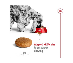 Royal Canin Medium Dry Adult Dog Food 3 kg