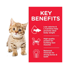 Hill's Science Plan Kitten Dry Food | Tuna Flavour | 1.5kg Bag