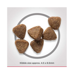 Hill's Science Plan Kitten Dry Food | Tuna Flavour | 1.5kg Bag