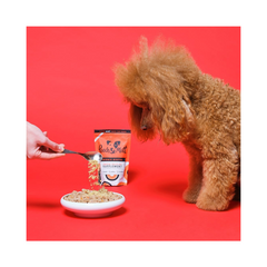 Pooch & Mutt Bionic Biotic Probiotic Supplement for Dogs | 200g