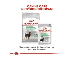 Royal Canin Mini Digestive Care Dry Food – 3 kg