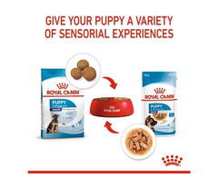 Royal Canin Maxi Puppy Dry Food – 3 kg