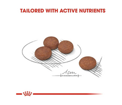 Royal Canin Mini Digestive Care Dry Food – 3 kg