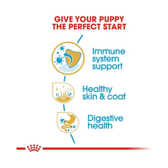 Royal Canin Cocker Puppy Dry Dog Food 3kg - Breed Specific Nutrition for English & American Cocker Spaniels up to 12 Months