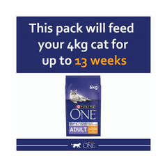Purina ONE Adult Dry Cat Food | High Protein Chicken Blend | 6kg