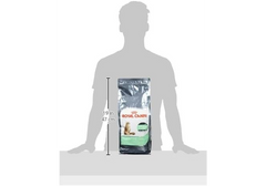 Royal Canin Digestive Care Adult Dry Cat Food – 2 kg