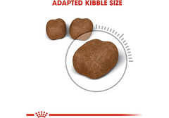 Royal Canin Oral Care (Dental) Adult Dry Cat Food – 1.5 kg