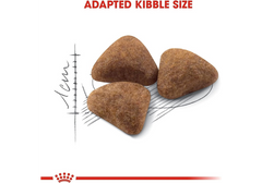 Royal Canin Indoor 27 Dry Cat Food – 2 kg Bag