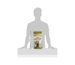 Royal Canin British Shorthair Adult Dry Cat Food – 2 kg