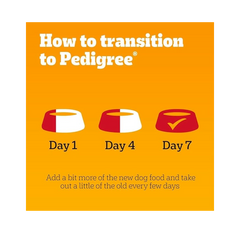 PEDIGREE Adult Chunks Rich in Chicken in Jelly – 14 Packs (3 × 100g Pouches)