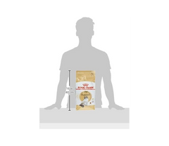 Royal Canin Ragdoll Adult Dry Cat Food – 2 kg