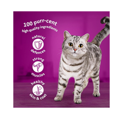 WHISKAS Tasty Mix 1+ Chef’s Choice in Gravy – Adult Cat Food (40 × 85g Pouches)