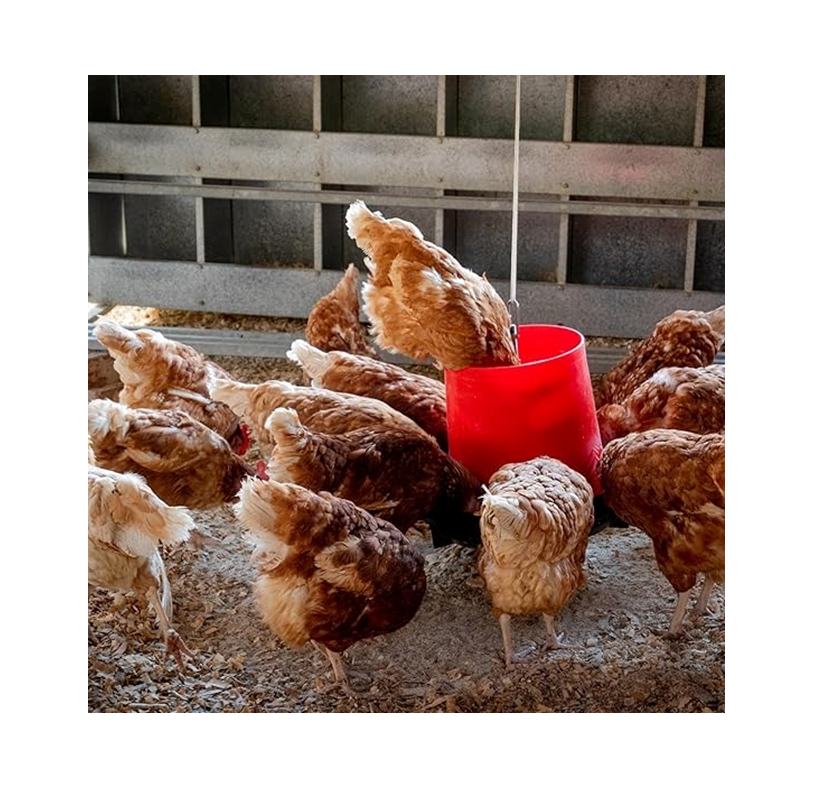 Copdock Mill Super Mixed Corn Chicken Feed – 5 kg