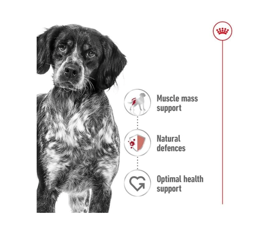 Royal Canin Medium Dry Adult Dog Food 3 kg