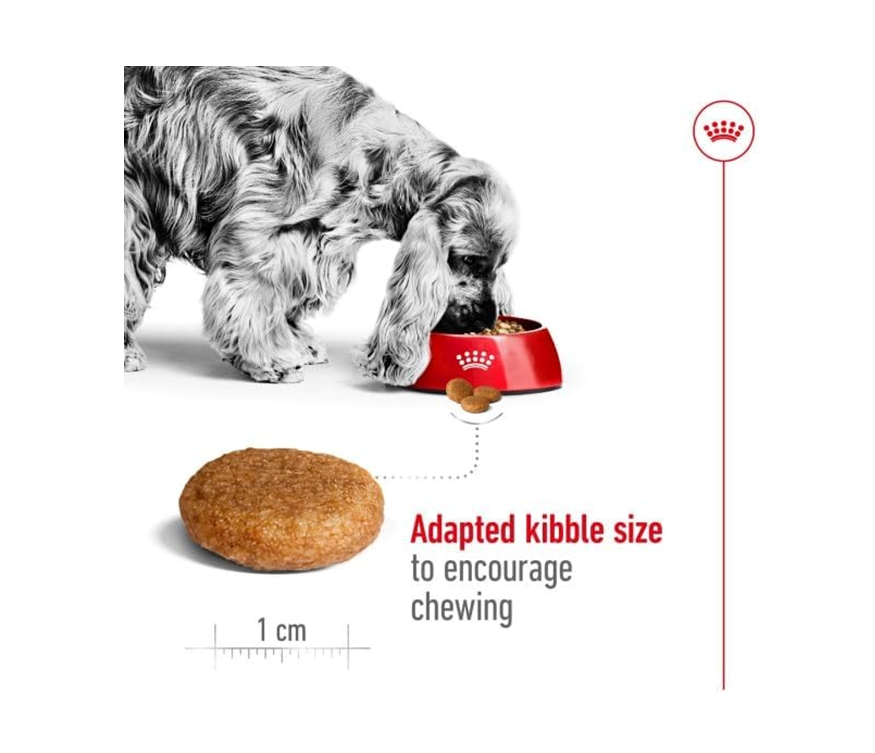 Royal Canin Medium Dry Adult Dog Food 3 kg