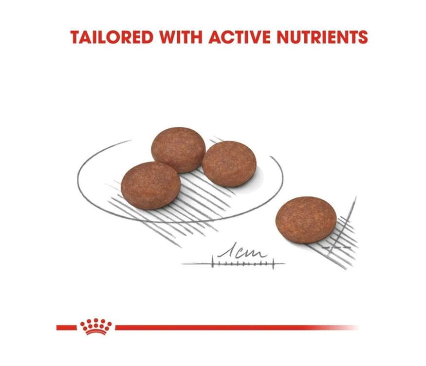 Royal Canin Mini Digestive Care Dry Food – 3 kg