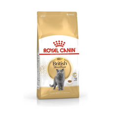 Royal Canin British Shorthair 4kg