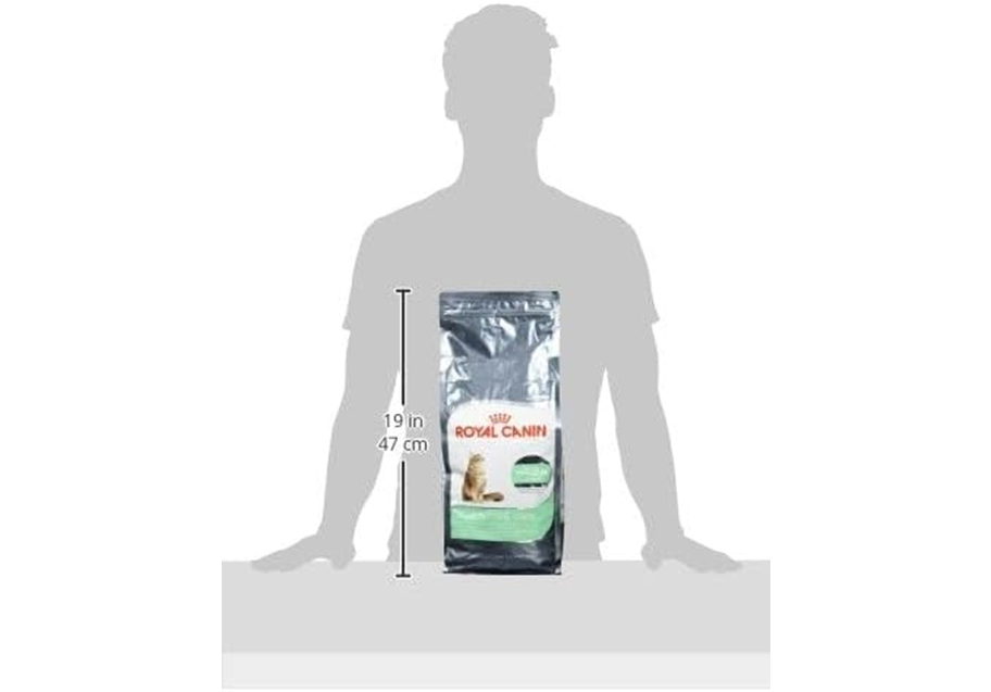 Royal Canin Digestive Care Adult Dry Cat Food – 2 kg