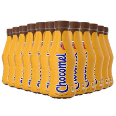 Chocomel Dutch Chocolate Milk – 12 × 300 ml | Rich, Creamy, On-the-Go Treat