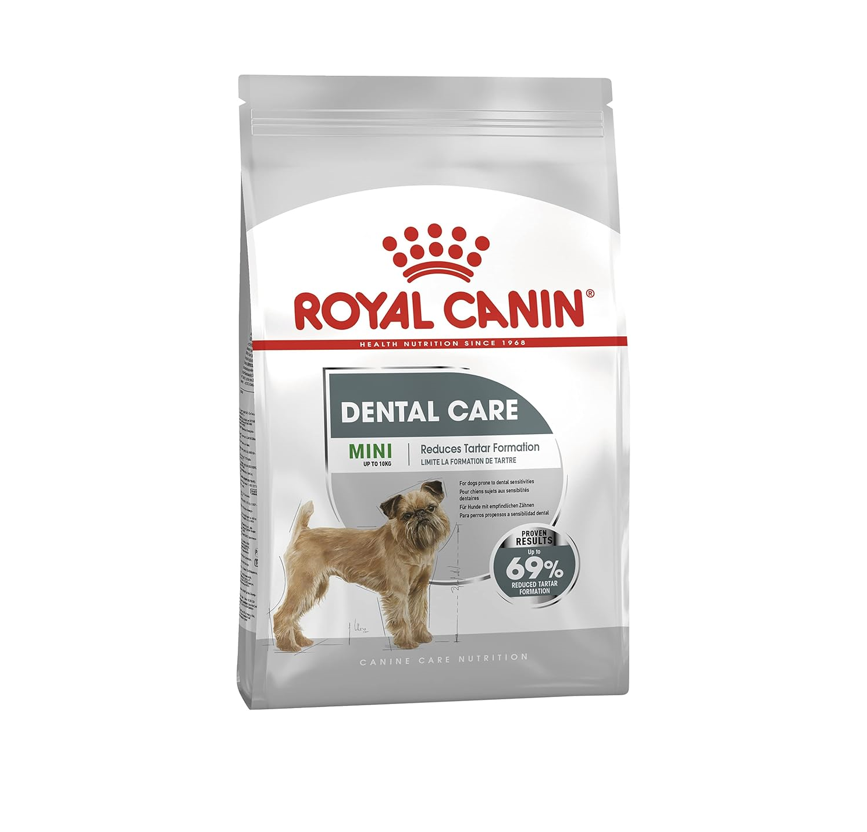 Royal Canin Mini Dental Care Dog Food – 3kg | For Small Dogs | Advanced Tartar Control